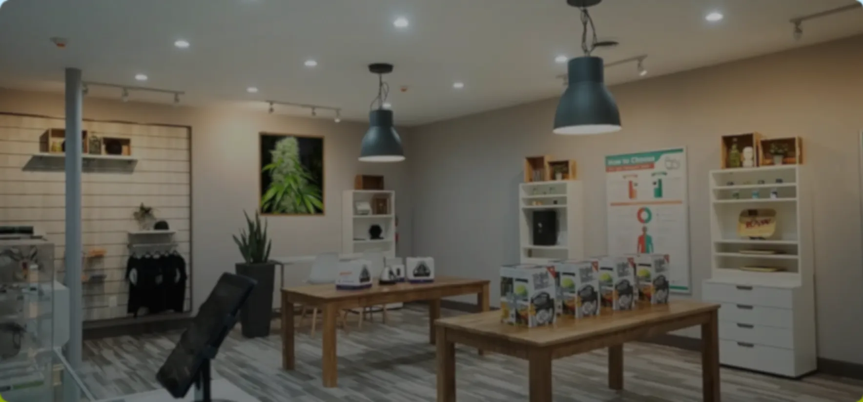 Inside Litmosphere. Warm oak displays, botanical art, and education stations